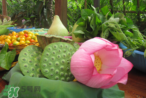 莲蓬什么味道？莲蓬好吃吗？